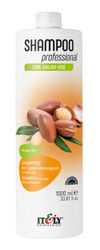 Itely Hairfashion Professional Argan Oil szampon do włosów zniszczonych  1000ml