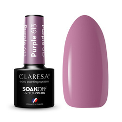 CLARESA Lakier Hybrydowy 5g, kolor Purple 613