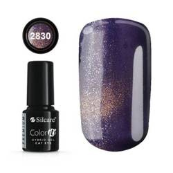 Silcare Lakier Hybrydowy Color It Premium 6g kolor 2830