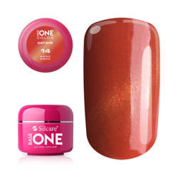 Silcare Gel Base One CAT EYE 14 Maine Coon 5g