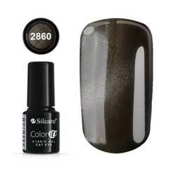 Silcare Lakier Hybrydowy Color It Premium 6g kolor 2860
