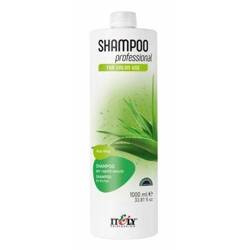 Itely Hairfashion Professional Aloe Vera szampon do włosów suchych 1000ml