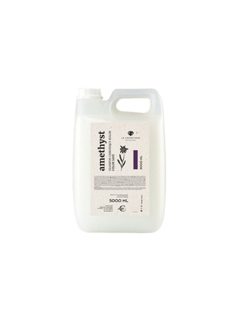 Le Cosmetique Amethyst szampon do włosów farbowanych chroniący kolor 5000ml