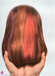 KADUS karta kolorów otwarta