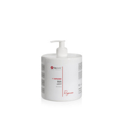 Upgrade Regenesi Mask Sealing maska do włosów 1000ml