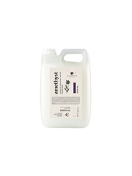 Le Cosmetique Amethyst szampon do włosów farbowanych chroniący kolor 5000ml